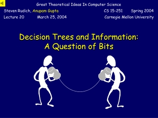 Decision Trees and Information: A Question of Bits