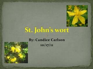 St. John’s wort