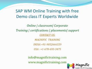 SAP WM Online Training with free Demo class IT Experts World