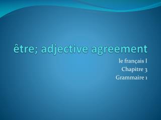 être ; adjective agreement