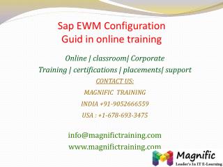 Sap EWM Configuration Guid in online training