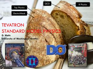 Tevatron Standard Model Physics