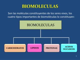 PPT - BIOMOLECULAS PowerPoint Presentation, Free Download - ID:2155131