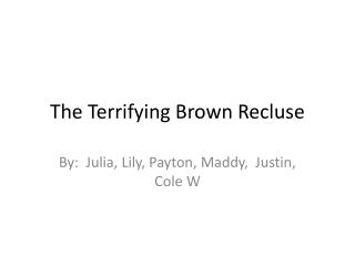 The Terrifying Brown Recluse