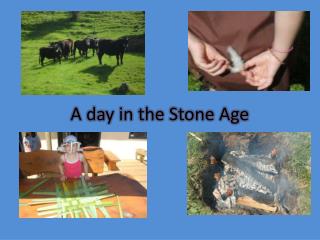 A day in the Stone Age