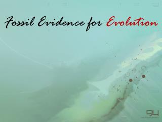 Fossil Evidence for Evolution