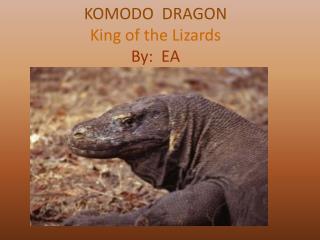 KOMODO DRAGON King of the Lizards By: EA