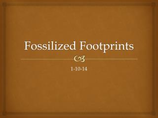 Fossilized Footprints