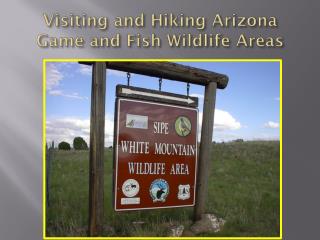 Visiting and Hiking Arizona Game and Fish Wildlife Areas