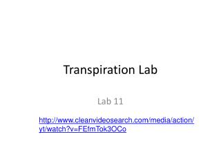 Transpiration Lab