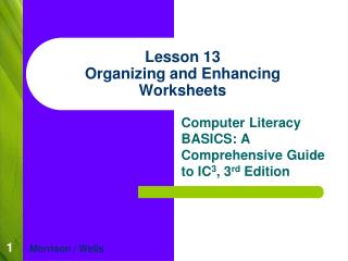 Lesson 13 Organizing and Enhancing Worksheets