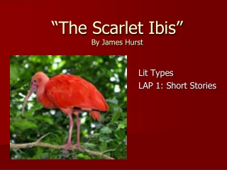 “The Scarlet Ibis” By James Hurst
