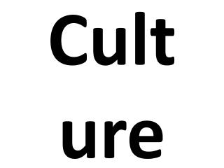 Cult ure