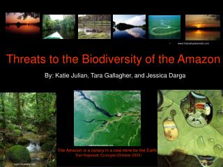 Threats to the Biodiversity of the Amazon