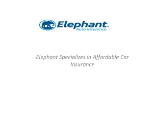 Elephant Specializes in Affordable Car Insurance