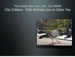 Third Grade Open Court Unit: City Wildlife City Critters ...