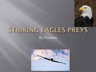 Striking eagles preys
