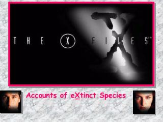 Accounts of e X tinct Species