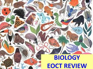 BIOLOGY EOCT REVIEW