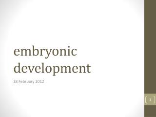 embryonic development