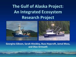 The Gulf of Alaska Project: An Integrated Ecosystem Research Project