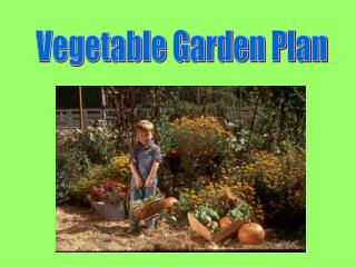 Vegetable Garden Plan