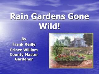 Rain Gardens Gone Wild!