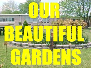 OUR BEAUTIFUL GARDENS