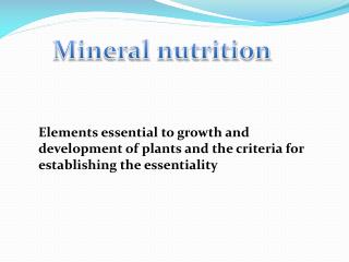 PPT - Mineral nutrition PowerPoint Presentation, free download - ID:2180205