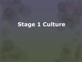 Stage 1 Culture