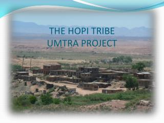 THE HOPI TRIBE UMTRA PROJECT