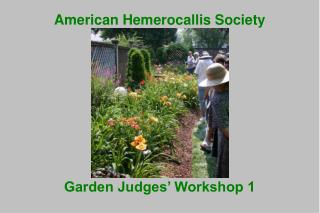 American Hemerocallis Society