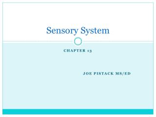 PPT - Sensory System PowerPoint Presentation, Free Download - ID:2185182