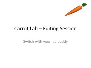 Carrot Lab – Editing Session