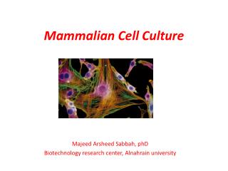 PPT - Mammalian Cell Culture PowerPoint Presentation, free download