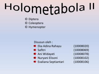 Holometabola ll