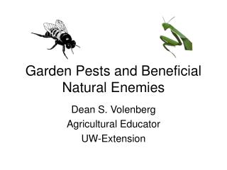 Garden Pests and Beneficial Natural Enemies