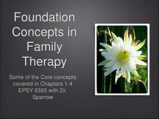 Foundation Concepts in Family Therapy