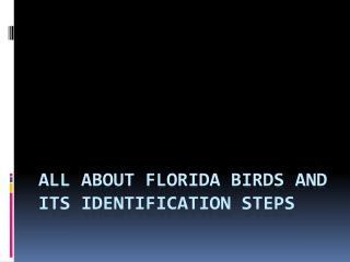 All about Florida birds and its identification steps