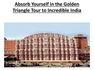Absorb Yourself in the Golden Triangle Tour to Incredible In