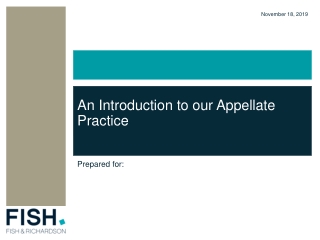 An Introduction to our Appellate Practice