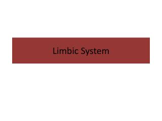 PPT - Limbic System PowerPoint Presentation, Free Download - ID:2194319