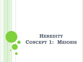 Heredity Concept 1: Meiosis