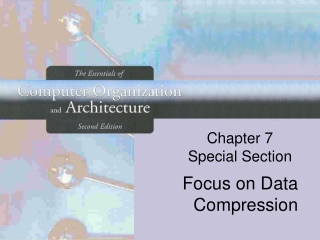 Chapter 7 Special Section
