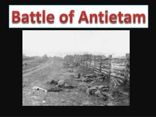 PPT - Battle Of Antietam PowerPoint Presentation, Free Download - ID ...