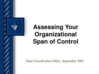 Assessing Your Organizational Span of Control