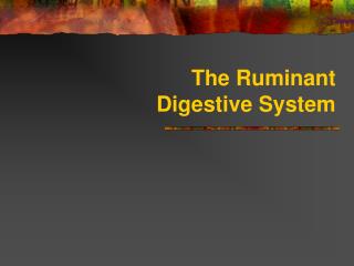 The Ruminant Digestive System