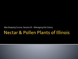 Nectar & Pollen Plants of Illinois