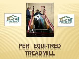 PER Equi-Tred Treadmill