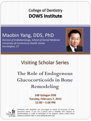 Visiting Scholar Series The Role of Endogenous Glucocorticoids in Bone Remodeling